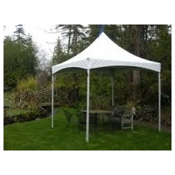 10 ft x 10 ft Marquee Tent
